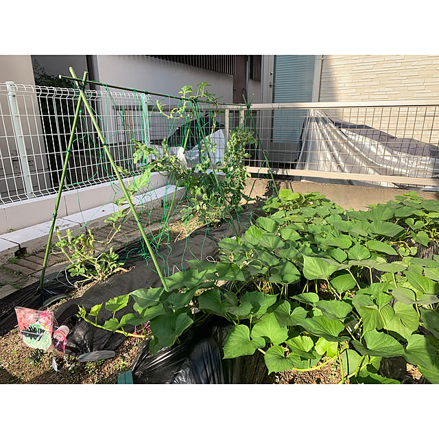 kaさんの実例写真
