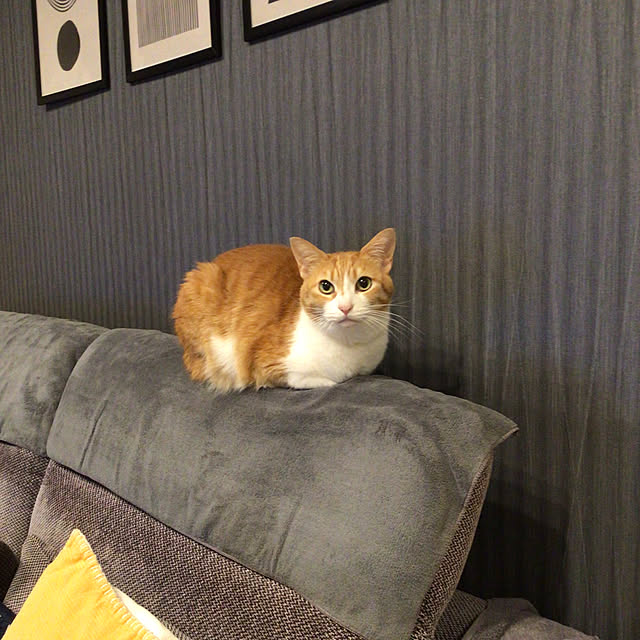 houenさんの実例写真