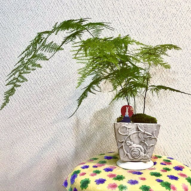 fuyiqian1026さんの実例写真