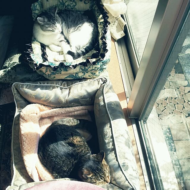 emmyyさんの実例写真