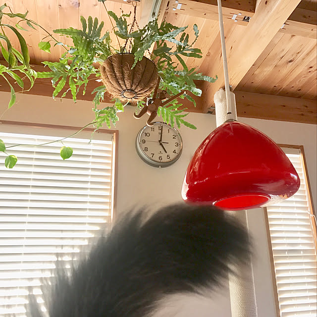 sakurasakuさんの実例写真