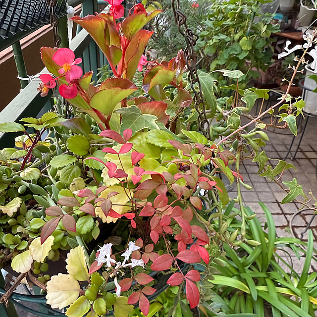 Aqettyさんの部屋