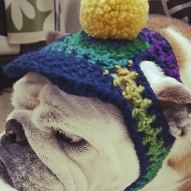 panchobiさんの実例写真