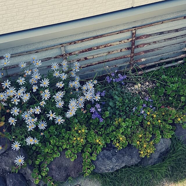 masarinn.さんの実例写真