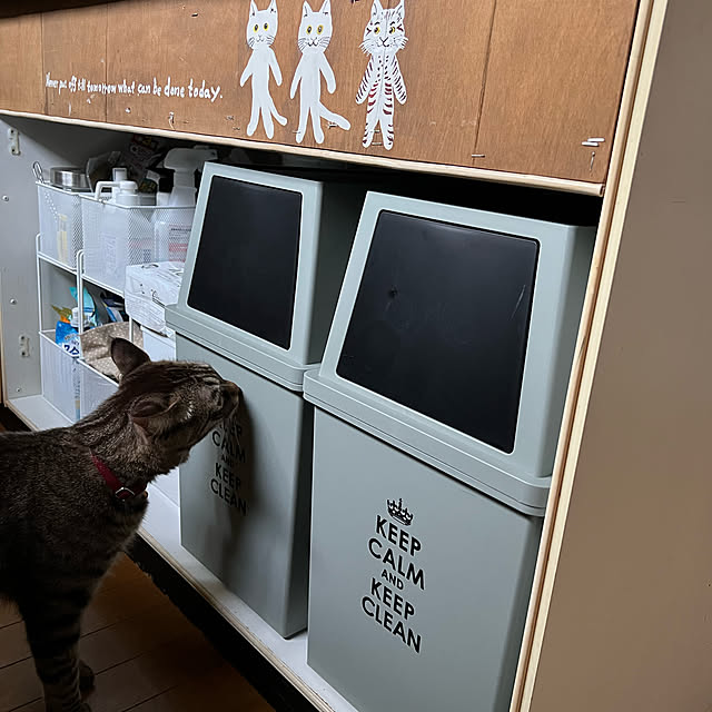 mushroompig3さんの実例写真