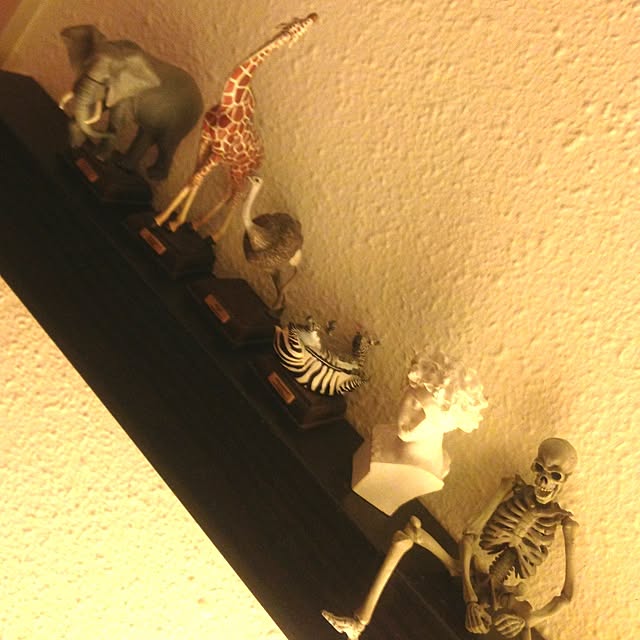 kaiseki_kaisekiさんの実例写真