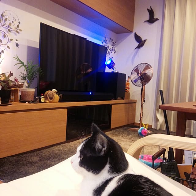 botanさんの実例写真