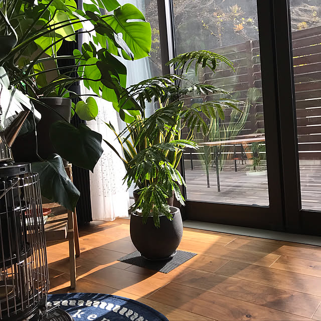 ken.ku128さんの実例写真