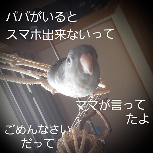 kazuraさんの実例写真