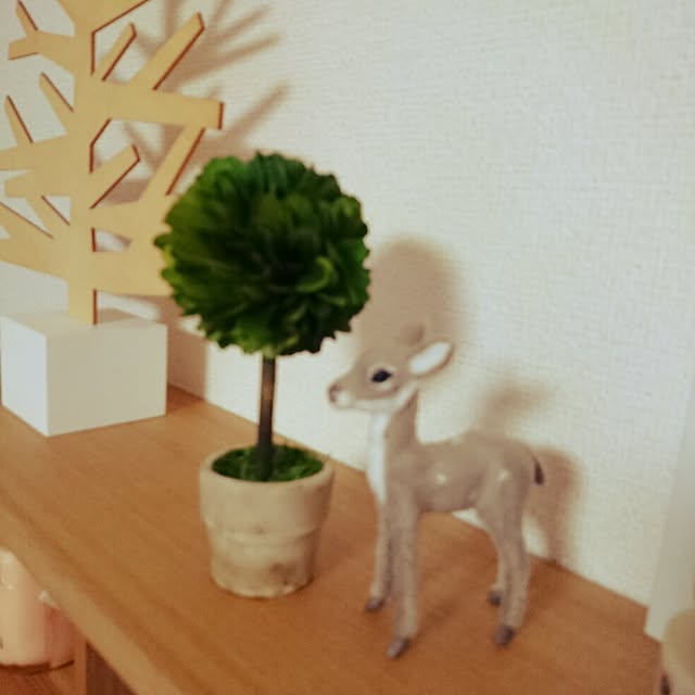 chicoさんの実例写真
