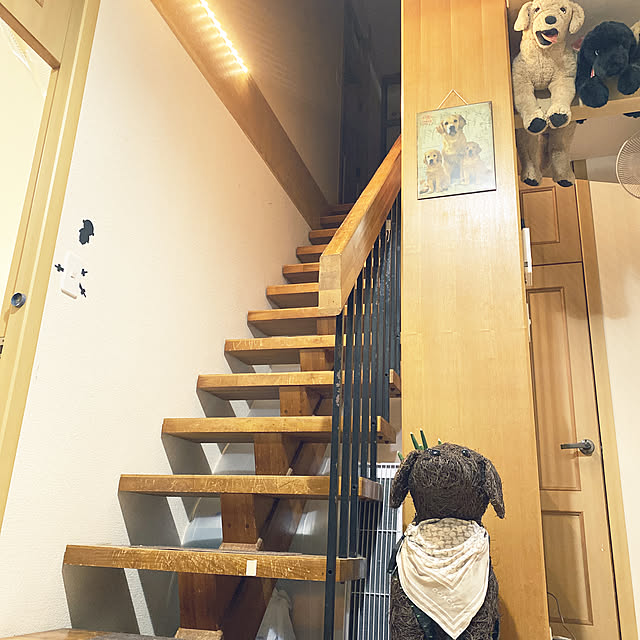 minu5656さんの実例写真