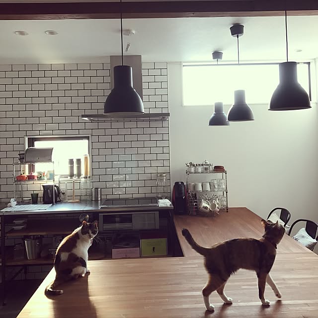 Nozomiさんの実例写真