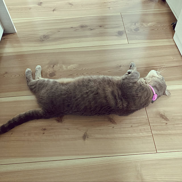 Roby1018さんの実例写真