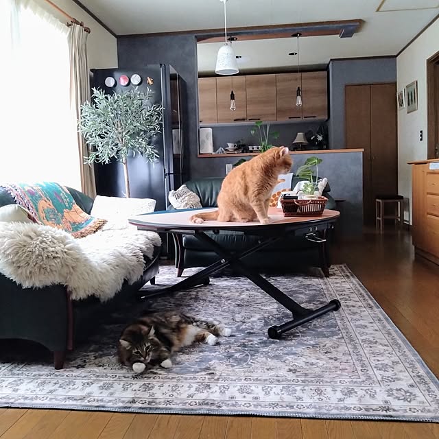 CHIKAさんの実例写真
