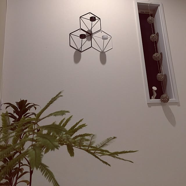 zukkoさんの実例写真
