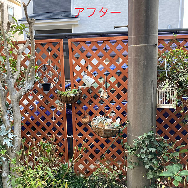 shoさんの実例写真