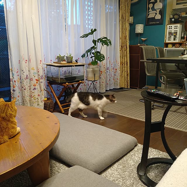okyosan101さんの部屋