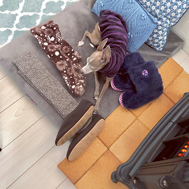 suzyさんの実例写真
