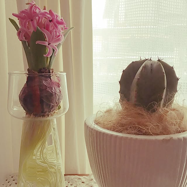 chinaoさんの実例写真