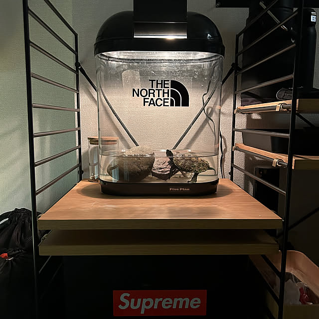 nee_roomさんの部屋