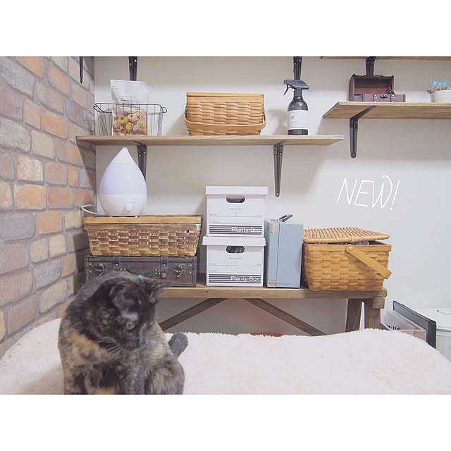 Ryoさんの実例写真