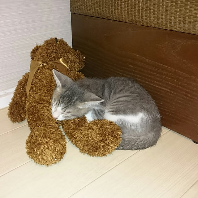 gurikoさんの実例写真