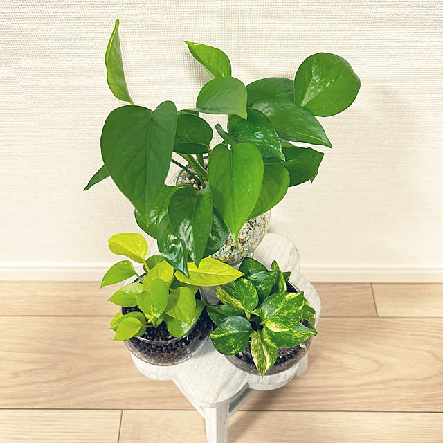 yoyoyoさんの部屋