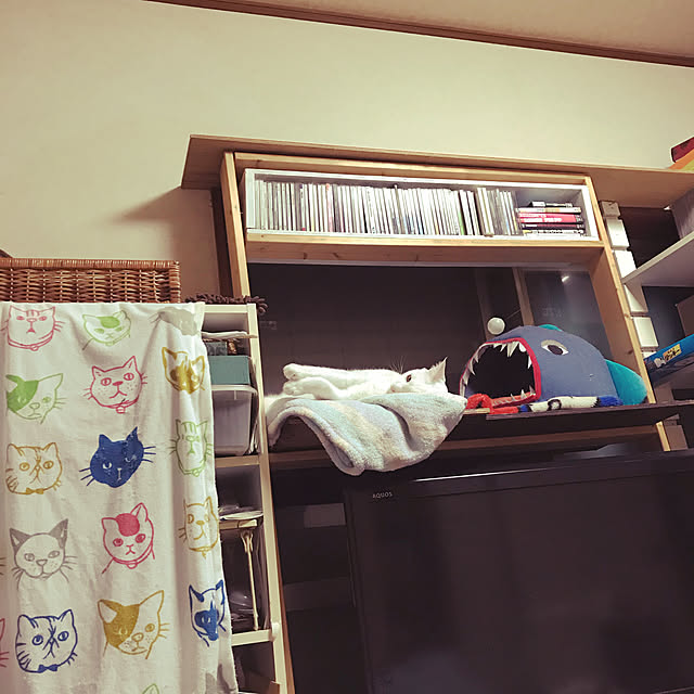 moroyaさんの実例写真