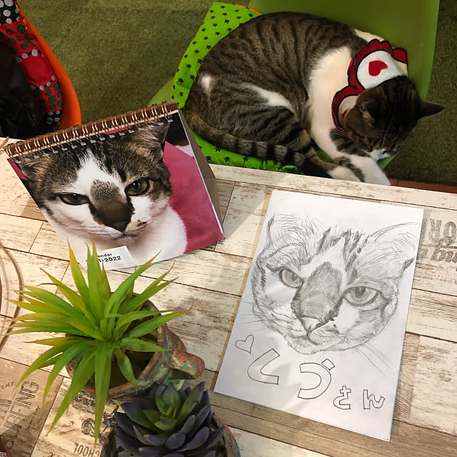 jijiさんの実例写真
