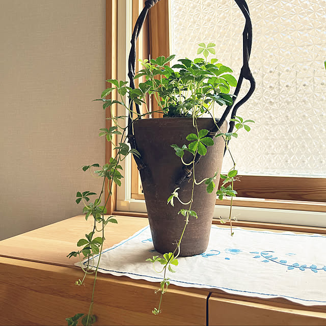 botanさんの実例写真