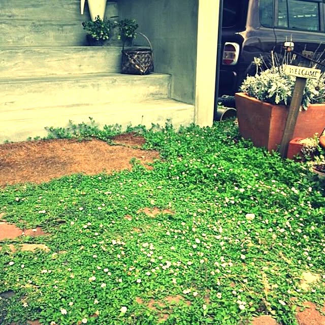 amicoさんの実例写真