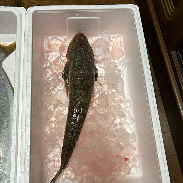 ritsukoさんの部屋