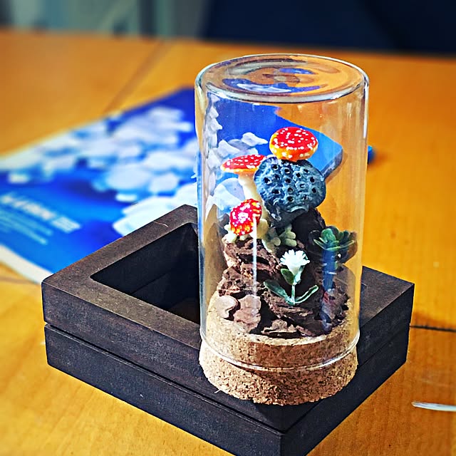 ramuchop3000さんの実例写真
