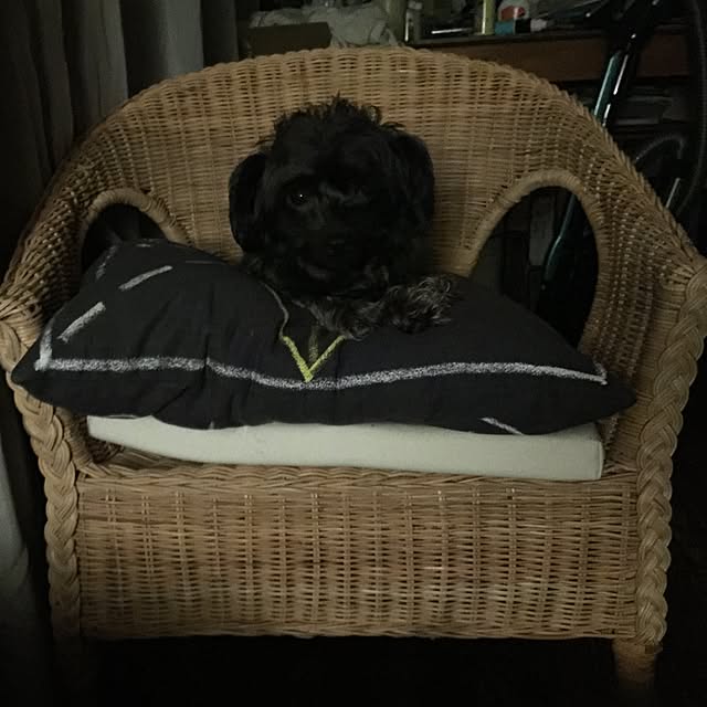 nonpiiiさんの実例写真