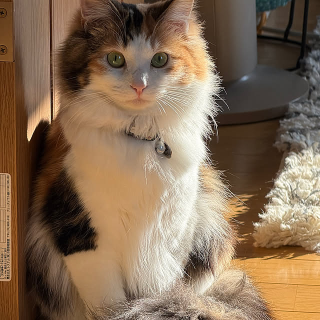 yukiyoさんの部屋
