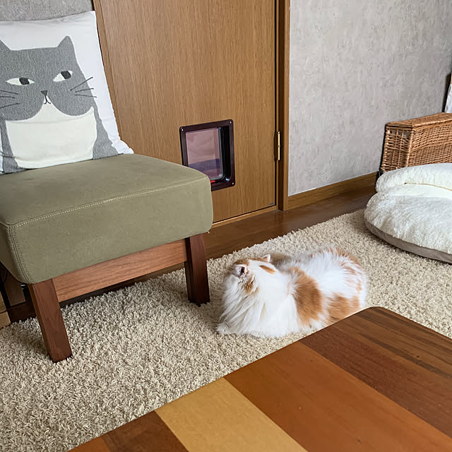 keiさんの実例写真