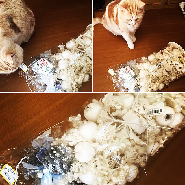 Watanabejunpilさんの実例写真
