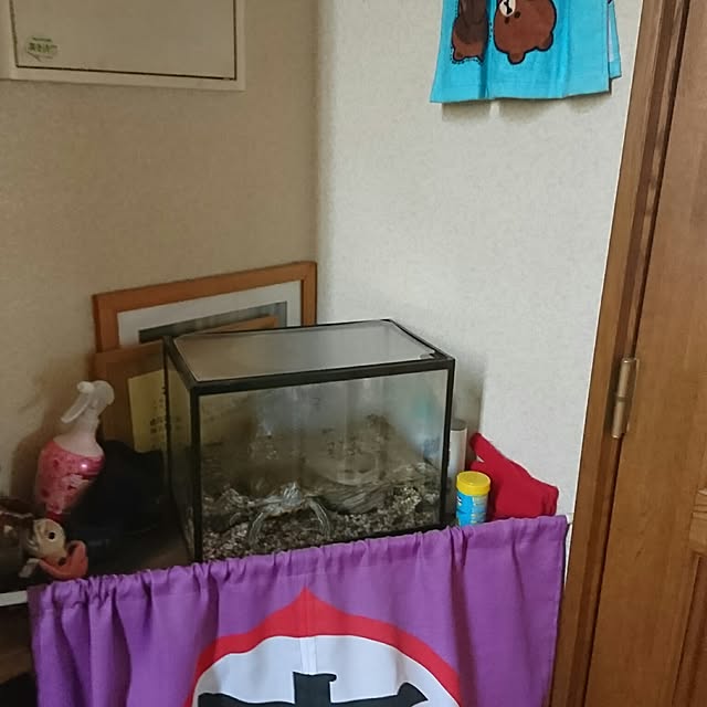 yukkyさんの実例写真