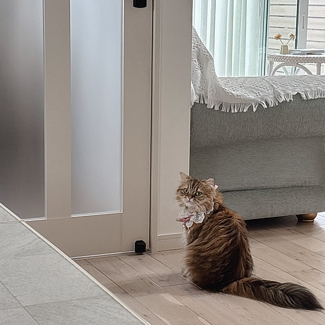 miyu39さんの部屋