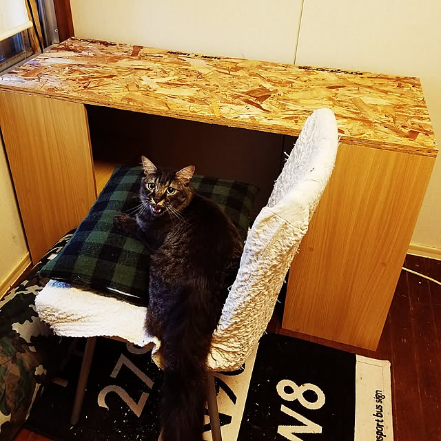 Machiさんの実例写真