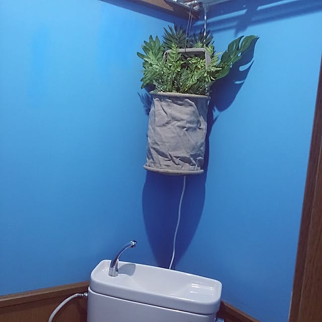 Daisukeさんの実例写真