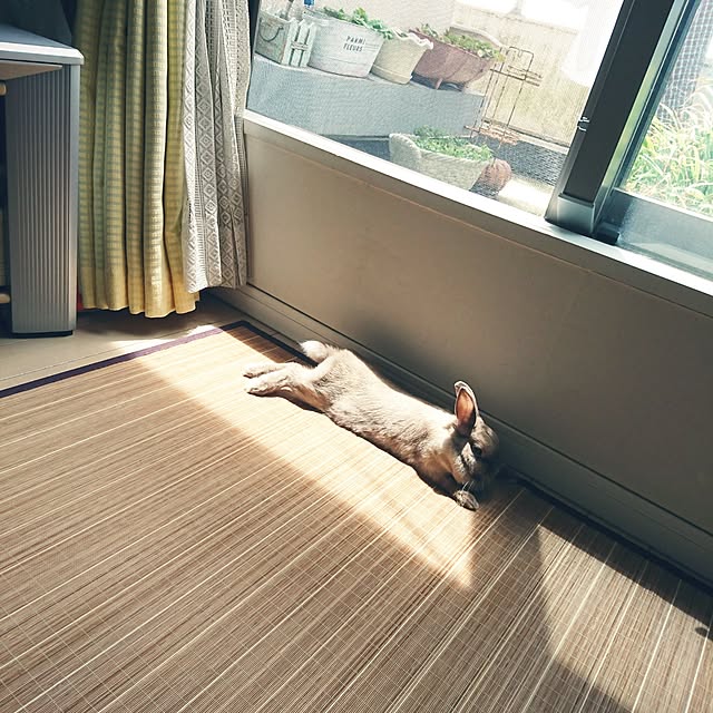 miru-neさんの実例写真