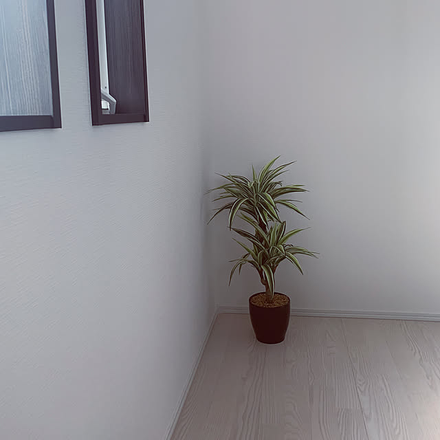 naochamaさんの実例写真