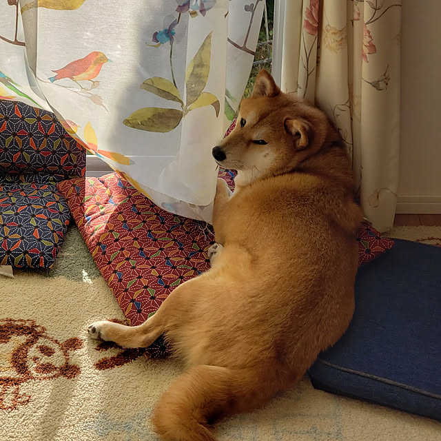yukiさんの実例写真