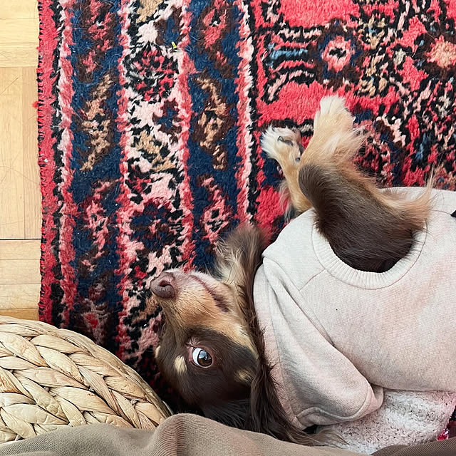rueさんの部屋