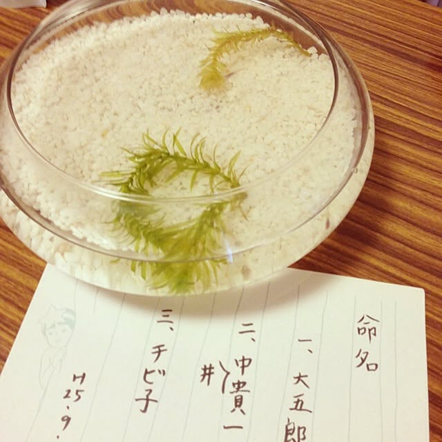 chacojiさんの実例写真
