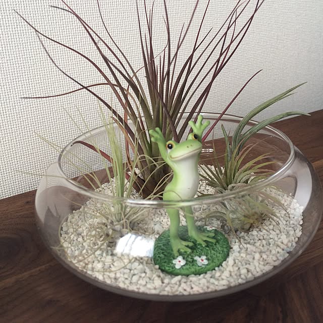 chiさんの実例写真