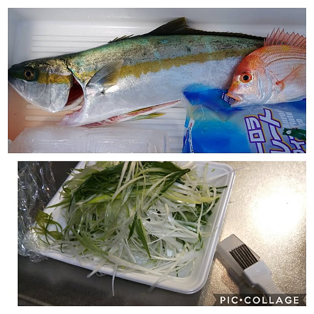 mihomihoさんの実例写真
