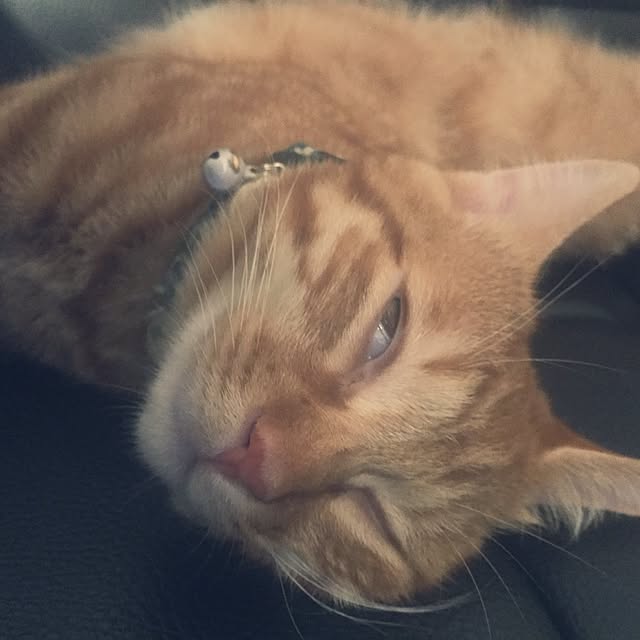 junさんの実例写真