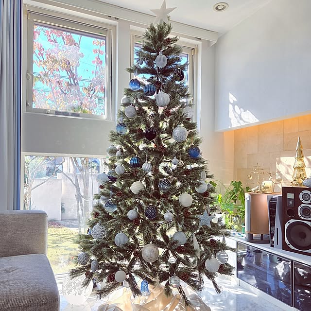 mutyukingさんの実例写真